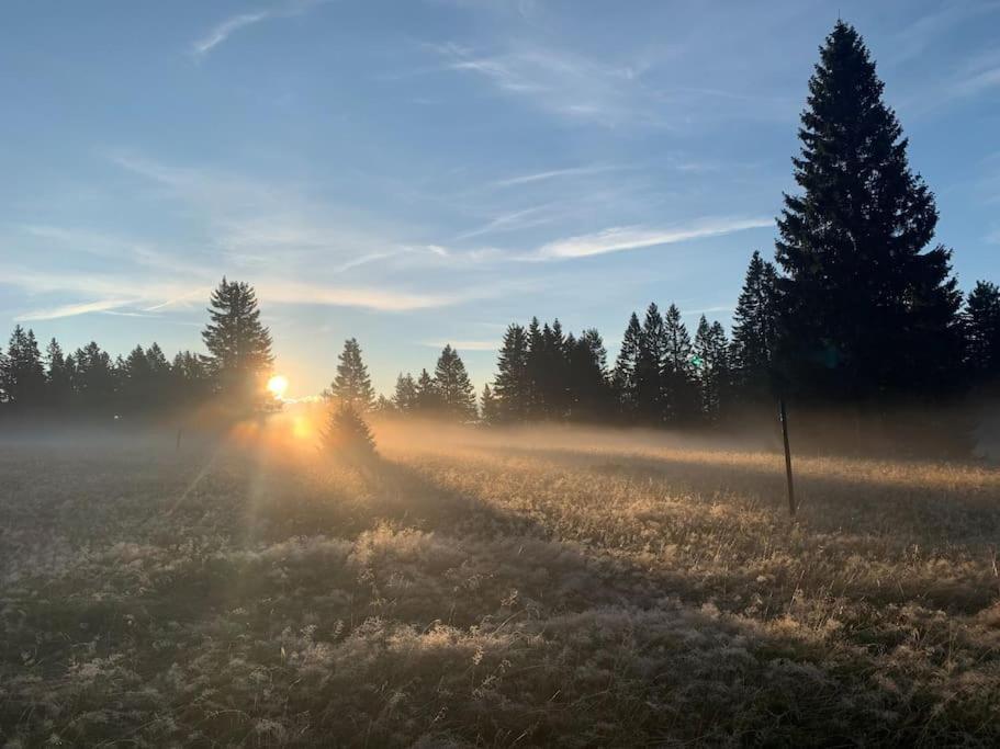Stube9 Am Feldberg, Direkt An Der Skipiste, Ski In-Ski Out Feldberg  Εξωτερικό φωτογραφία